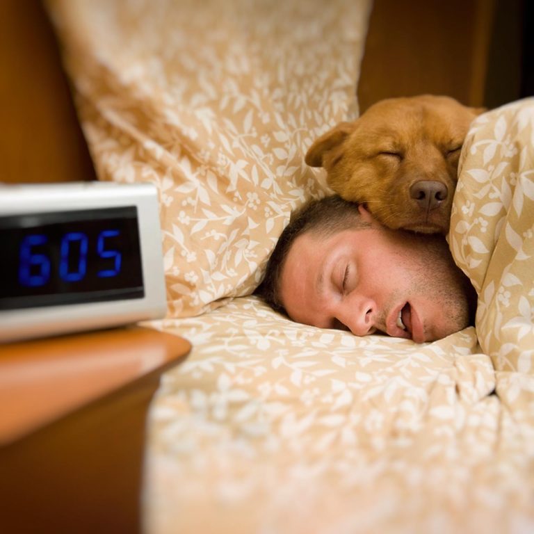 grande comfort dormire sonno letto mattino sveglia cane